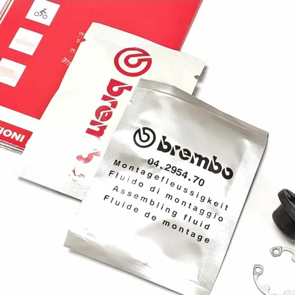 Brembo clutch floating piston kit Ducati Diavel Hypermotard 698 61041991A - 4 Brembo clutch floating piston kit Ducati Diavel Hypermotard 698 61041991A - 4