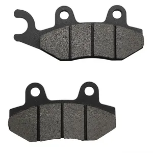 Coppia Pastiglie Freno Anteriori OEM Fantic  05545005