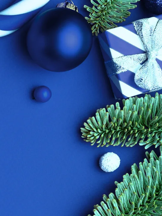 All accessories on sale